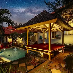 Guest house White Dove 3*
